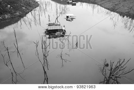 Vietnam Landscape, Floating House, Tree Reflect