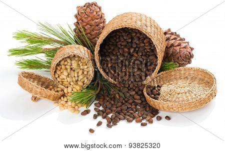 Cedar Pine Nuts