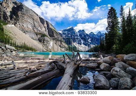 Drift wood at moraine lake