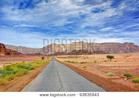 Road In The Desert