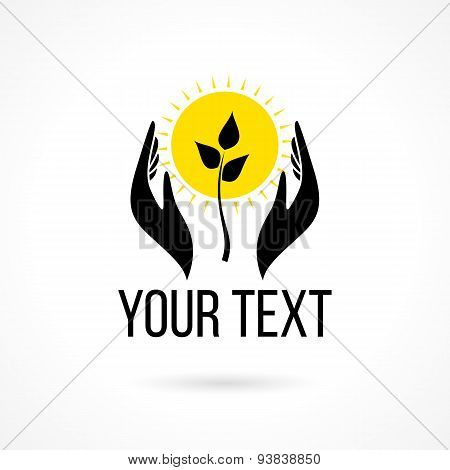 logo with hands sun and plant