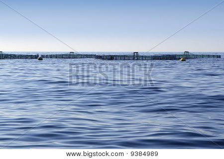 Allevamento ittico blu oceano mare orizzonte