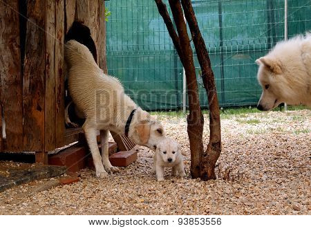 Friendly family