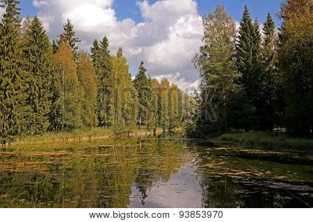 Forest Lake