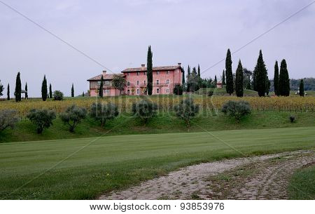 Pink house