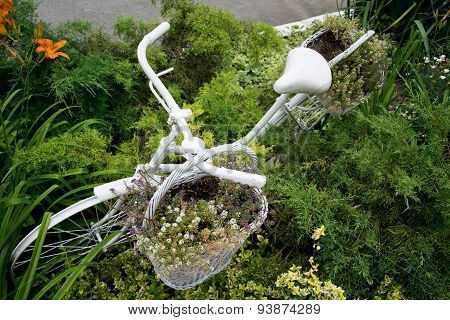 Old Bicycle Ideas For Gardening
