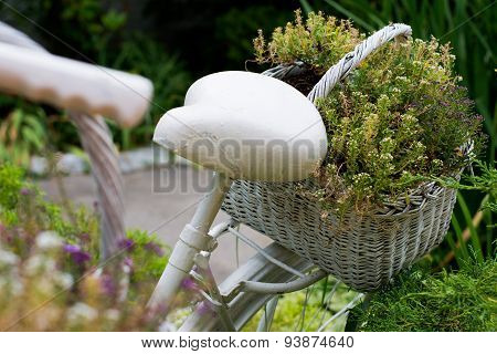 Old Bicycle Ideas For Gardening