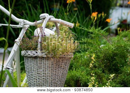 Old Bicycle Ideas For Gardening