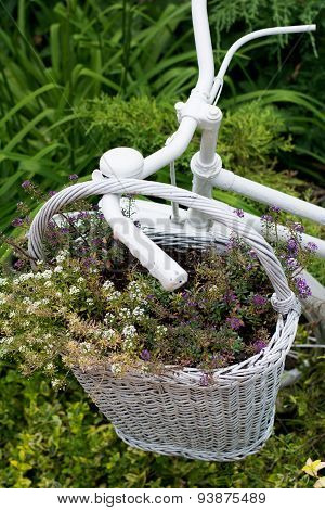 White Basket With Flowers Hanging On Old Bicycle In Garden