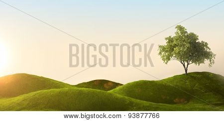 green field