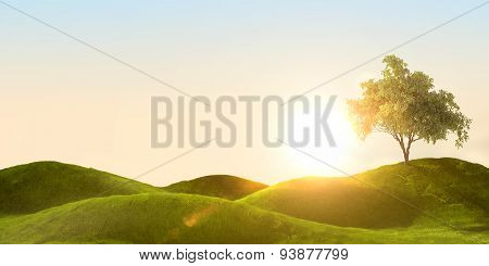 green field