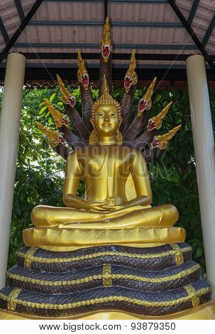 Buddha statue sitting on the king of naga