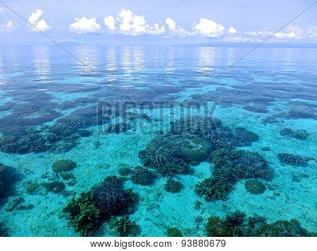 dodola, Maluku, Halmahera, Indonesien