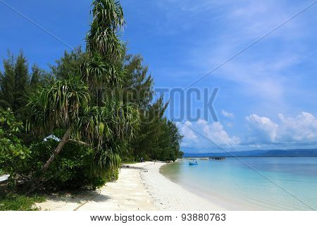 dodola, Maluku, Halmahera, Indonesien