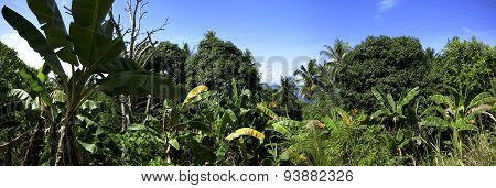 guraici archipelago, Halmahera, Maluku, Indonesia