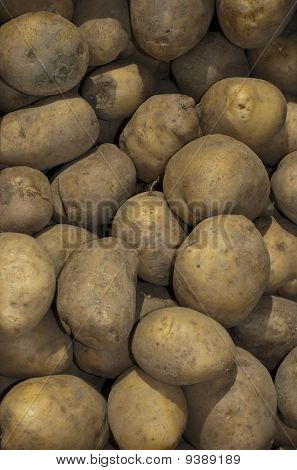 Kartoffeln