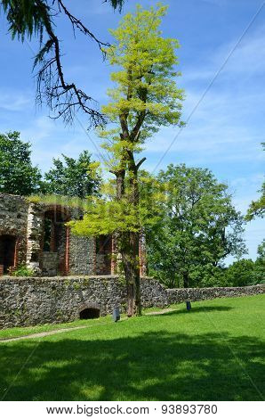 Castle ruins (Toszek in Poland)
