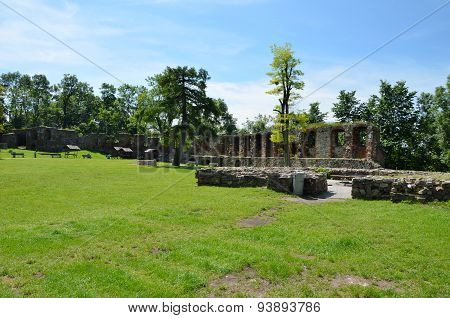 Castle ruins (Toszek in Poland)