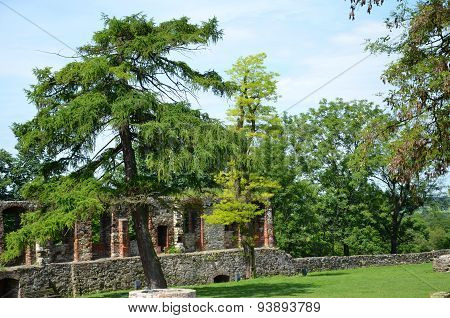 Castle ruins (Toszek in Poland)