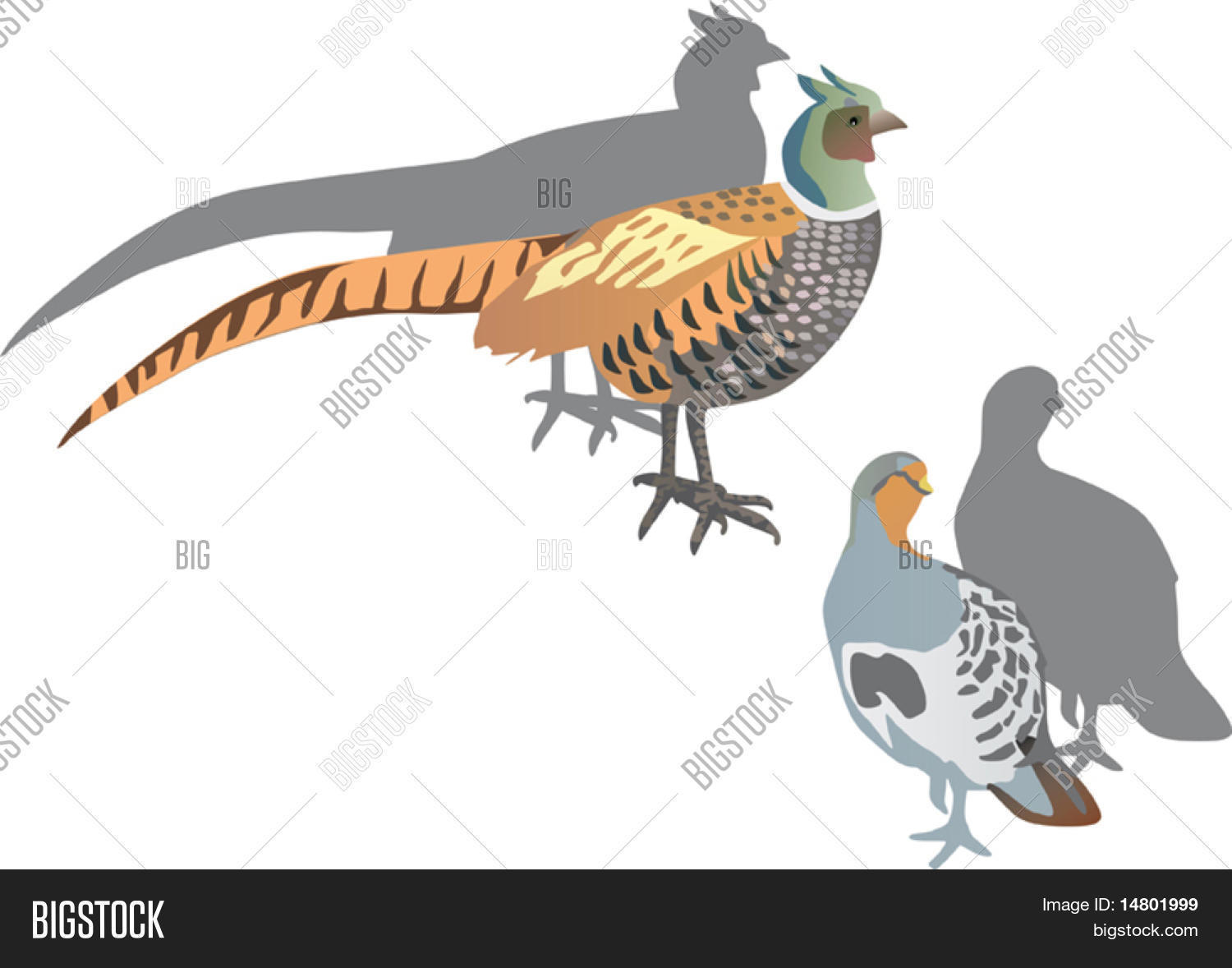 Illustration Vector & Photo (Free Trial) | Bigstock