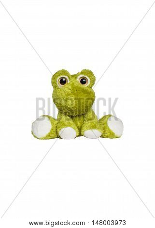 Frog doll isolate on white background lovely.