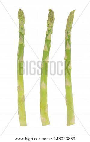 Ripe green asparagus isolated on white background
