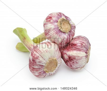 Fresh garlic isolated on the white background