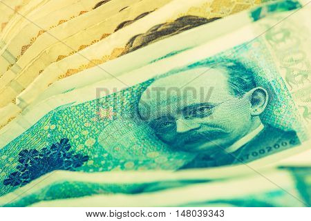 Norwegian Krone Cash Money Closeup. Krone Banknotes.