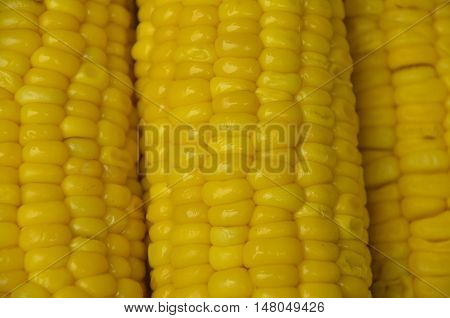 Background yellow boiled corn texture close up
