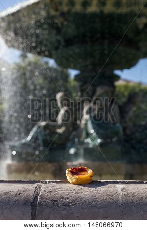Portuguese Dessert Pasteis De Nata Near Fountain
