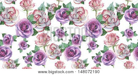 Wildflower rose flower pattern in a watercolor style isolated. Full name of the plant: rose, platyrhodon, rosa. Aquarelle flower could be used for background, texture, pattern, frame or border.