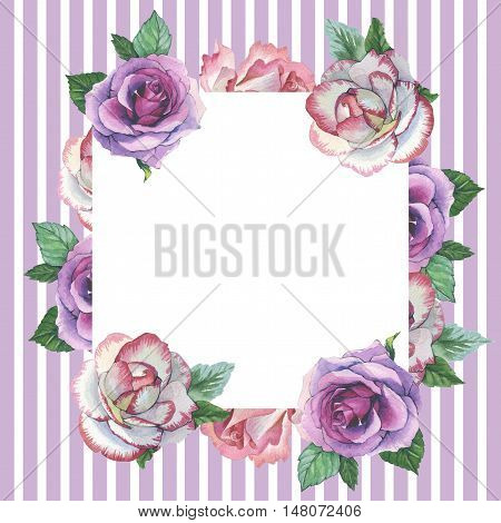 Wildflower rose flower frame in a watercolor style isolated. Full name of the plant: rose, platyrhodon, rosa. Aquarelle flower could be used for background, texture, pattern, frame or border.