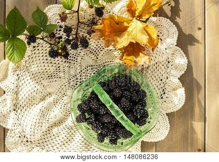 Vintage green glass basket dish full of juicy blackberries with oak leaves and blackberry sprigs on crocheted lace doily cloth on wooden table.