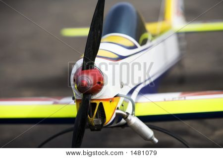Fly Model 