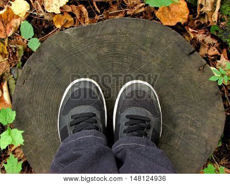 Legs clad in trousers and shod in black boots standing on the old round the tree stump among autumn leaves.