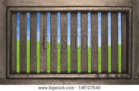 meadow of dream in the hole on partition wood included clipping path
