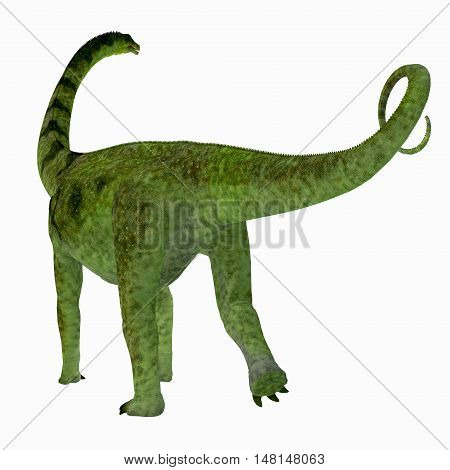 Puertasaurus Dinosaur Tail 3D Illustration - Puertasaurus was a herbivorous sauropod dinosaur that lived in Patagonia in the Cretaceous Period.