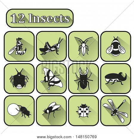 Set Of Various Insects