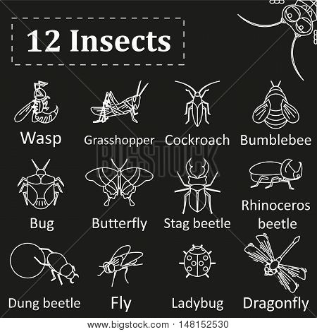 Set Of Various Insects