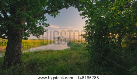 Arch From Tree