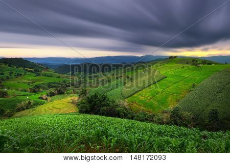 Terraced Rice Field in Pa Pong Pieng , Mae Chaem, Chiang Mai, Thailand.