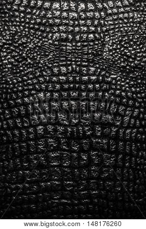Metallic Texture Like Crocodile Skin Leather
