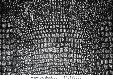 Metallic Texture Like Crocodile Skin Leather