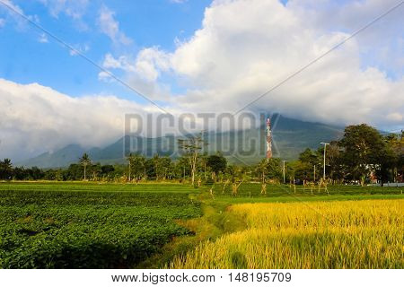 Ciremai mountain landscape, the picture is taken from a paddy field of location Linggarjati Kuningan, West Java. Date: 23 Agusutus 2016