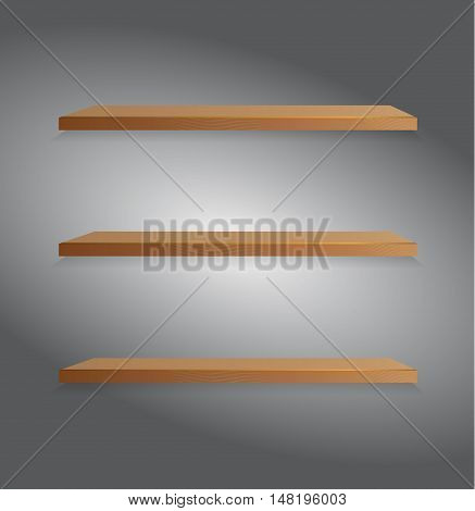 Vector wooden shelf. Isolation over dark background. Book library.