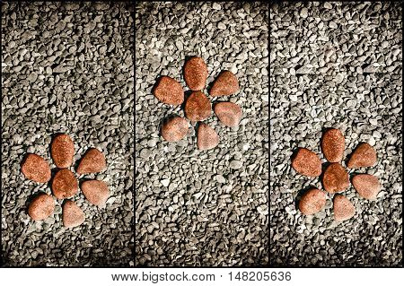 three red  stone flower on the rocks