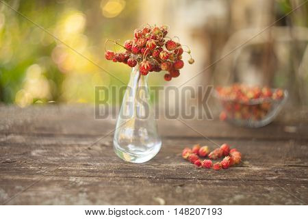 Red Berries On Beautiful Background
