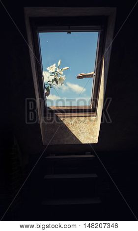 Flowers and hands outside the window on the background sky