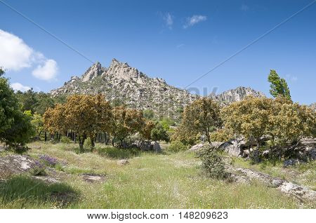 Mountain landscape at Sierra de la Cabrera, Madrid, Spain