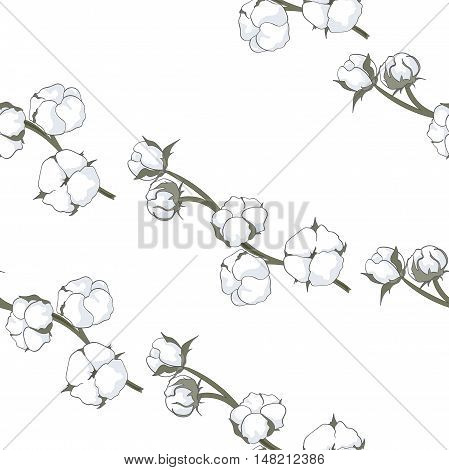 Seamless pattern with hand drawn cotton brunch vector illustration